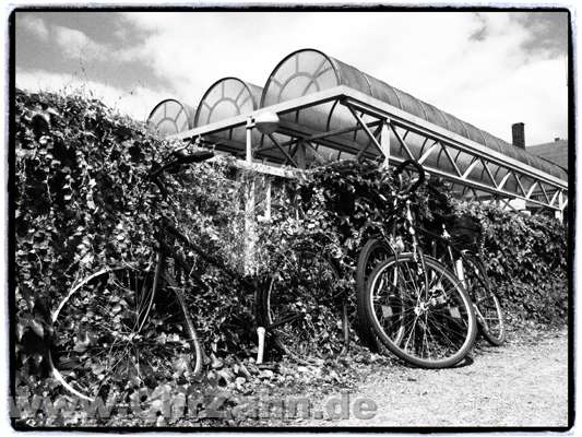 Fahrradablage.jpg - alte Fahrräder am Dorstener Bahnhof