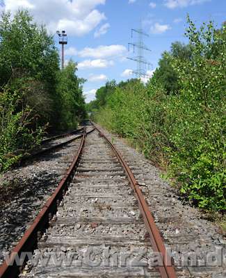 Gleise2.jpg - einige Gleise der Erzbahntrasse bzw. deren Abzweigstrecken liegen noch, dieses führte zum Schalker Verein