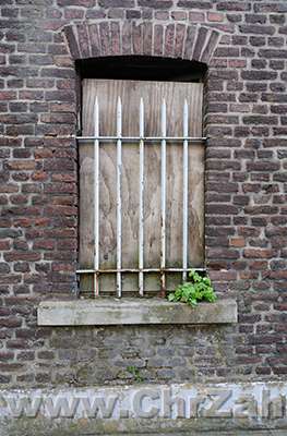 Fenster.jpg - Tür