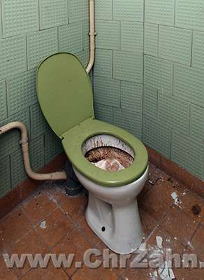 Toilette1.jpg - OLYMPUS DIGITAL CAMERABad