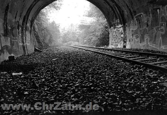 Tunnel.jpg - Tunnel mit dem einen verbliebenen Gleis, das andere wurde bereits Jahre vor der Trassenstillegung rückgebaut